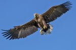 Scientific laboratory "flying Eagles" at Asiago-30 July 2018