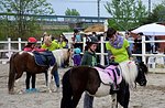 Roan Pferd, Ponys für Kinder Schule, Roana, Teich Altopiano di Asiago