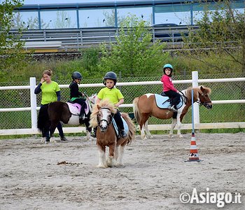 bambino in sella ad un Pony