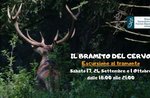 IL BRAMITO DEL CERVO - Escursione al tramonto per famiglie a cura del Museo Naturalistico di Asiago - 1 ottobre 2022