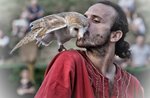 Falconry show "On the wings of falcons" in Gallio - 23 August 2019