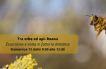 Farm excursion Educational among herbs and bees by the NaturalIstic Museum of Asiago - 11 October 2020