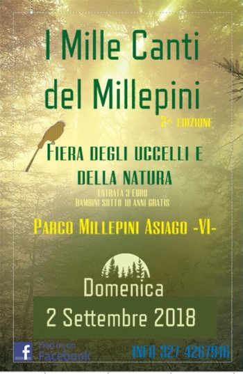 I mille canti del Millepini 2018 I mille canti del Millepini 2018