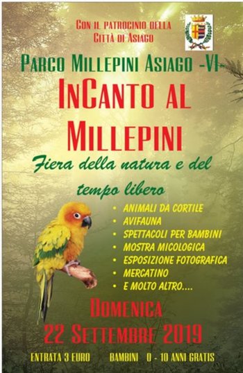 Incanto al Millepini 2019 Incanto al Millepini 2019