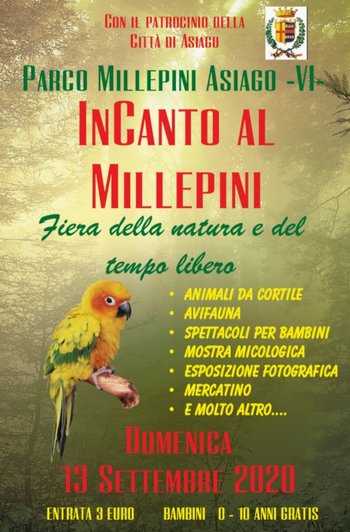 Incanto al Millepini 2020 Incanto al Millepini 2020