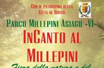 INCANTO AL MILLEPINI - Fiera della natura e del tempo libero ad Asiago - 13 settembre 2020