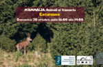 M'ammalia: excursion with the faunista to see the animals at sunset in Asiago - October 30, 2022