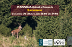 M'ammalia: Ausflug mit dem Faunista, um die Tiere bei Sonnenuntergang in Asiago zu sehen - 30. Oktober 2022