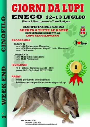 Manifestazione canina giorni da lupi enego 2014