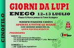 Canine demonstration DAYS FROM WOLVES to Enego, Asiago plateau, 12-13 July