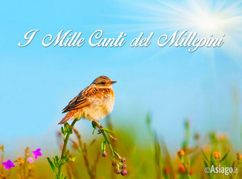Mille canti del Millepini ad Asiago Mille canti del Millepini ad Asiago