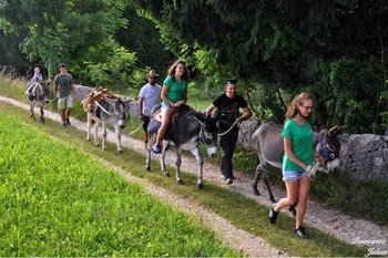 Passeggiata con asini al Cason delle Meraviglie