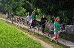 Passeggiata con asini al cason delle meraviglie