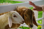 Laboratorio per bambini e famiglie, Museo Naturalistico di Asiago, 14 lug 2016 