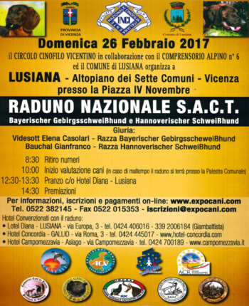 Raduno cani a Lusiana Raduno cani a Lusiana
