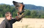 "The Falconer and the art of hunting with birds" by the Museo Naturalistico di Asiago-14 July 2018