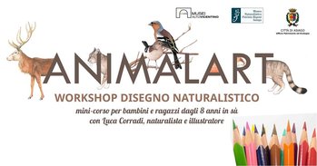 Animalart - Corso disegno animali Animalart - Corso disegno animali