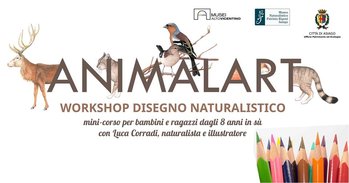 Animalart - Corso disegno animali 