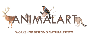 Animalart - Workshop di disegno Animalart - Workshop di disegno