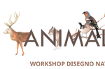 Animalart - Workshop di disegno Animalart - Workshop di disegno