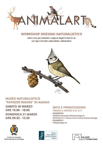 Animalart asiago 2019