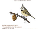 'ANIMALART' - Workshop di disegno naturalistico al Museo Naturalistico di Asiago - 30 e 31 marzo 2019