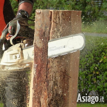 Chainsaw Carving Sculture in legno motosega Enego