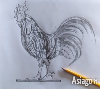 Il gallo di Vaia