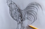 IL GALLO DI VAIA - Realizzazione scultura dall