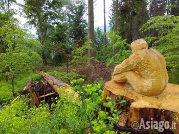 Selvart scultura in legno