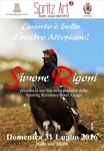 simone rigoni spritzart 2016