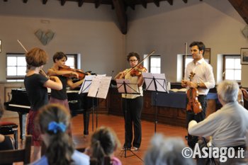 corso viola corso viola