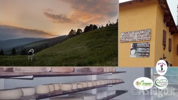 Aperitivo in malga Zovetto con Asiago Guide e Pro Loco Cesuna Aperitivo in malga Zovetto con Asiago Guide e Pro Loco Cesuna
