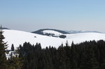 Excursion "Monte Val Marie: banks of the Plateau", with Asiago Guide