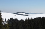 Escursione "Monte Longara: affacciarsi sull'Altopiano", con Asiago Guide