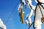 "Sleeping nature: Val di Nos", Asiago Guide