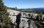 Escursione "Il labirinto di roccia: LA BRUSTOLÀ" con Asiago Guide, 7 agosto 2016