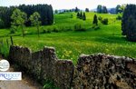 Guided excursion "Sunset between the ancient districts of Mezzaselva" with Asiago Guide - 9 August 2020