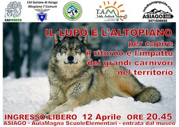 Il lupo e l'Altopiano - Incontro ad Asiago