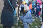 Laboratori per bambini a MALGA LARICI con escursione per genitori, ASIAGO GUIDE