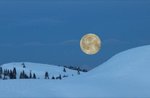 Moonlight night excursion with Asiago Guide, January 23, 2016