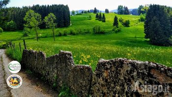 Sulle tracce dei Cimbri - Asiago guide e Pro Loco Canove