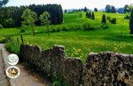 On the trail of the Cimbri - Guided Excursion with Asiago Guide - 28 July 2020