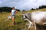 "All in Malaga" - Aktivitäten für Kinder auf dem Asiago Plateau - 7. September 2019