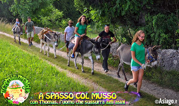 A spasso col musso