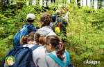 Once upon a time there was a forest - educational experience at Il Cason delle Meraviglie - 27 June 2021