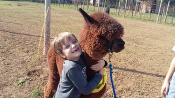 Alpaca e Mattia