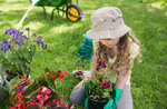 Visit and workshop at the Alpine Botanical Garden, natural history Museum of Asiago-July 24, 2017