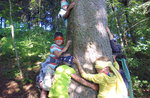 "Alla scoperta dei tesori del bosco con gnoma Mentina" al Cason delle Meraviglie, 16 luglio 2017