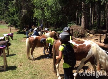 bambini con i pony roana